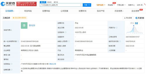 信息技術咨詢服務 數字化轉型的智慧引擎